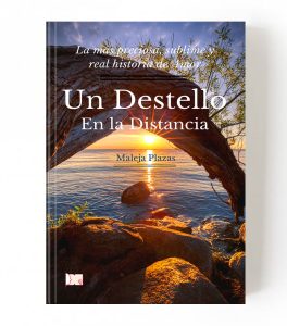 Un destello en la distancia – Edición Ebook